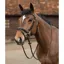 Mark Todd Training Bridle Full - Black 