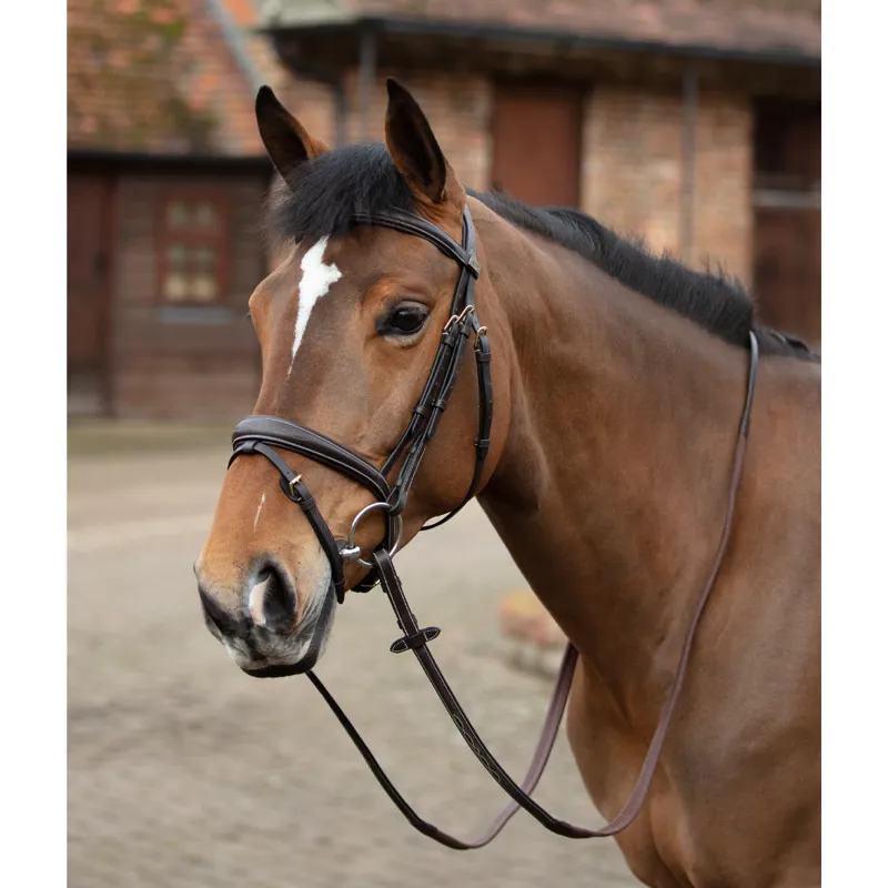 Mark Todd Raised Contrast Stitch Bridle Full - Havana