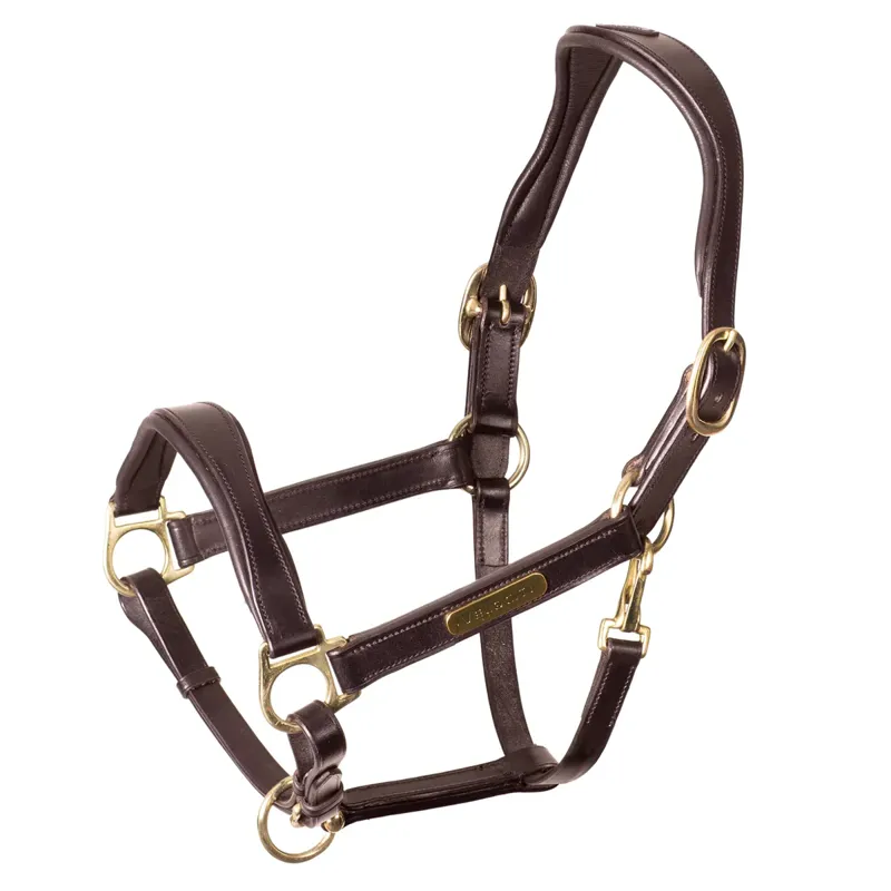 Shires Velociti Rapida Cushioned Leather Headcollar - Havana
