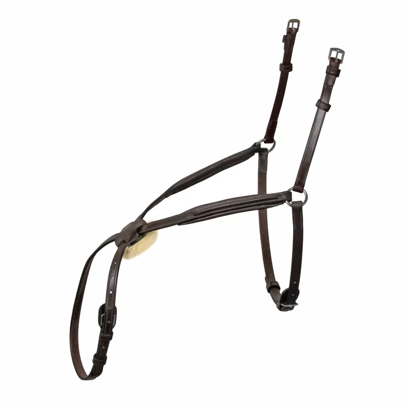 Mark Todd Mexican Grackle Noseband - Havana