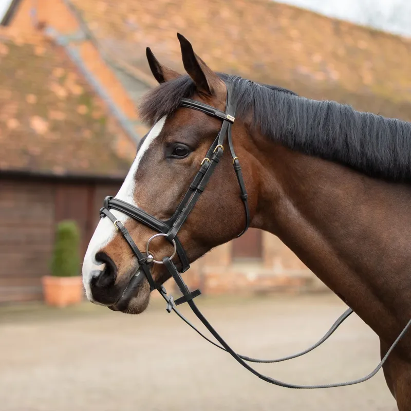 Mark Todd Performance Flash Bridle - Black/Brass