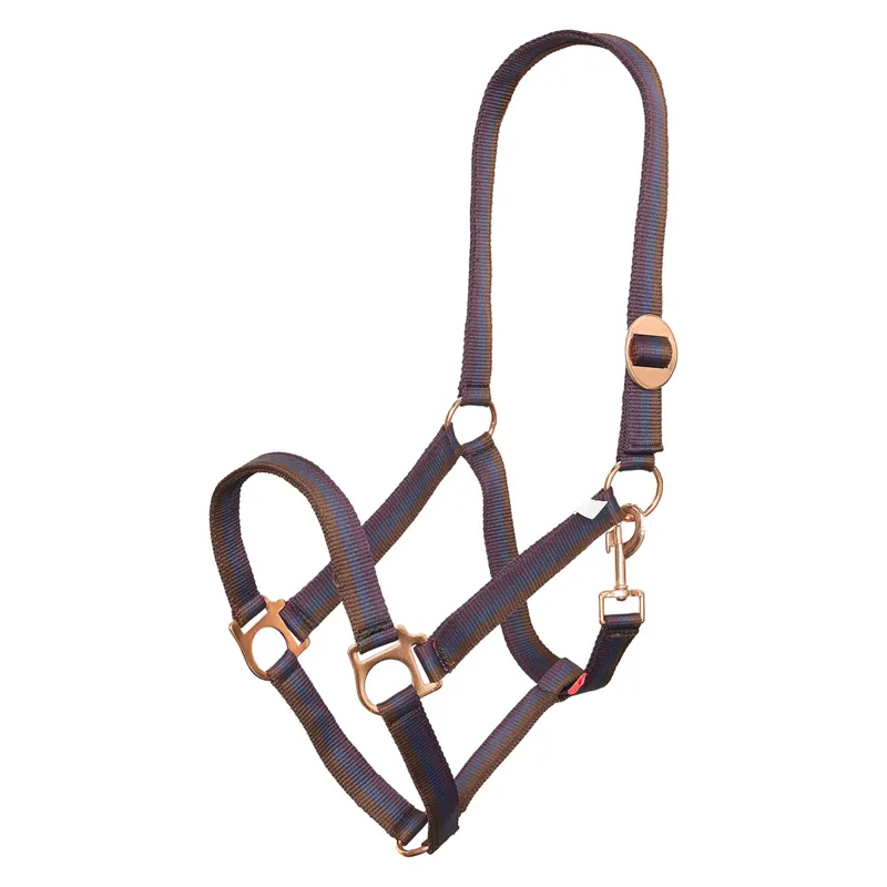 Imperial Riding Economic Headcollar - Bordeaux