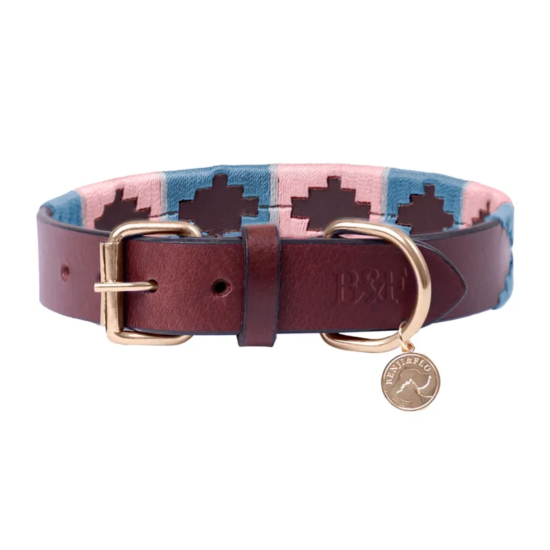 Benji And Flo Sublime Polo Leather Dog Collar - Grape/Riviera