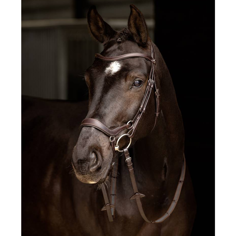 LeMieux Arika Drop Bridle - Brown/Silver-1