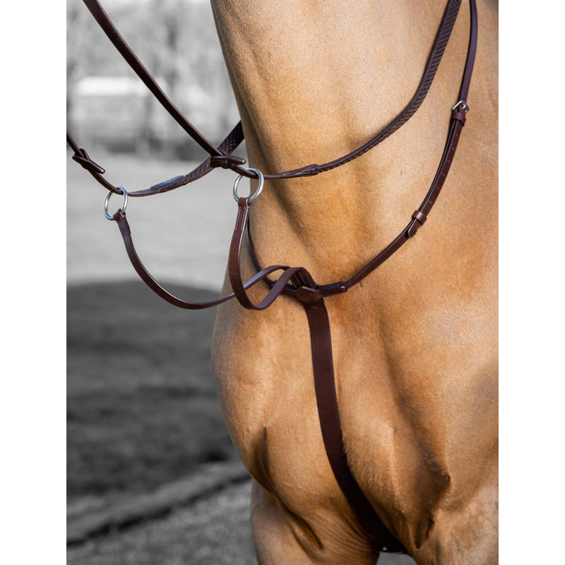 LeMieux Arika Running Martingale - Havana/Silver-1