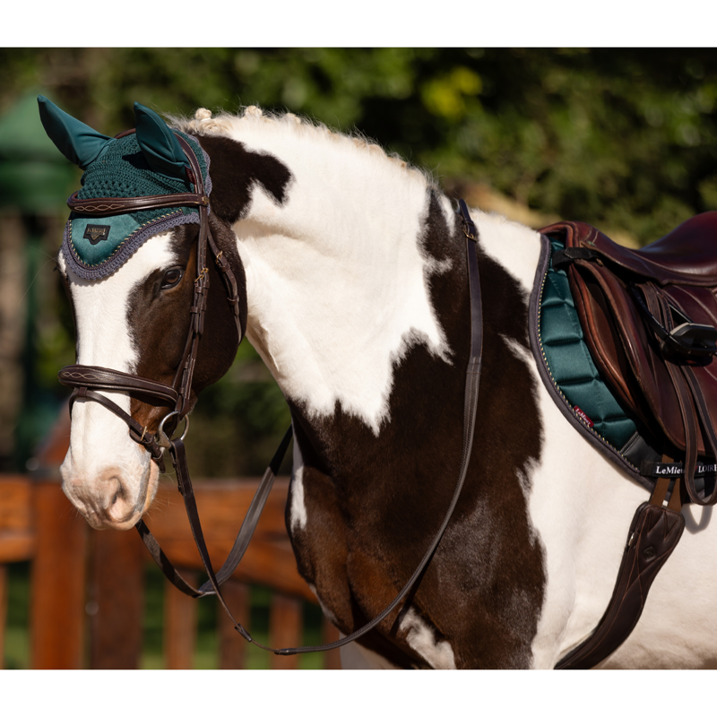 LeMieux Loire Fly Hood - Spruce-2