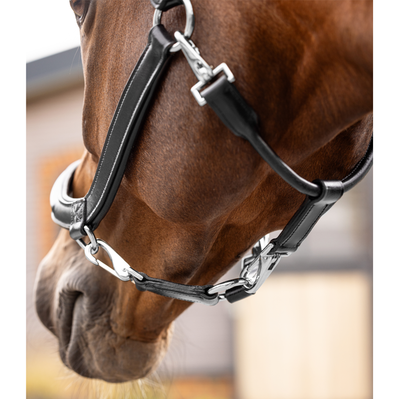 LeMieux Leather Grooming Headcollar - Black-1