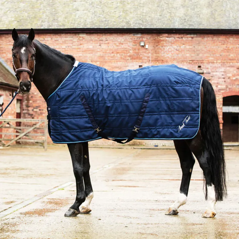 Mark Todd Pro 250g Stable Rug - Navy 