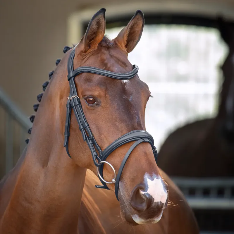 Shires Velociti Lusso Padded Raised Flash Bridle - Black