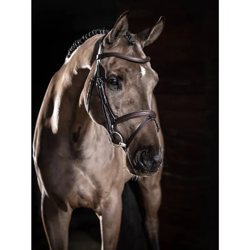 LeMieux Arika Flash Bridle - Brown/Silver-1