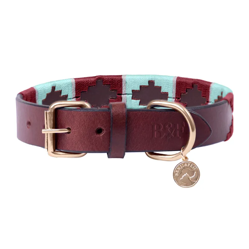 Benji And Flo Sublime Polo Leather Dog Collar - Aqua/Fig