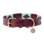 Benji And Flo Sublime Polo Leather Dog Collar - Aqua/Fig