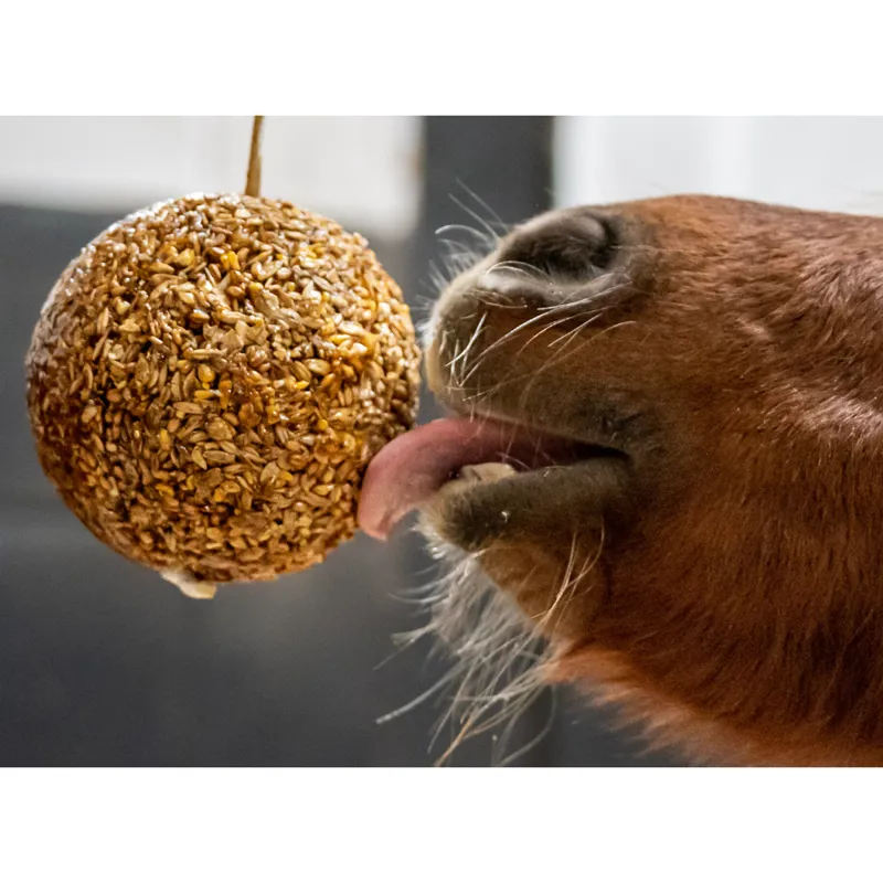 Likit Granola Stall Ball - 1.6kg-2