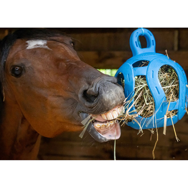 Horsemen's Pride Jolly Hay Ball - Blue-2