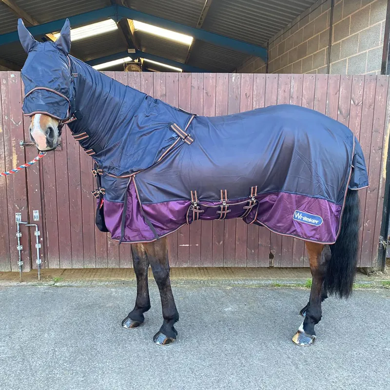 John Whitaker Airton Fly Rug - Navy/Plum