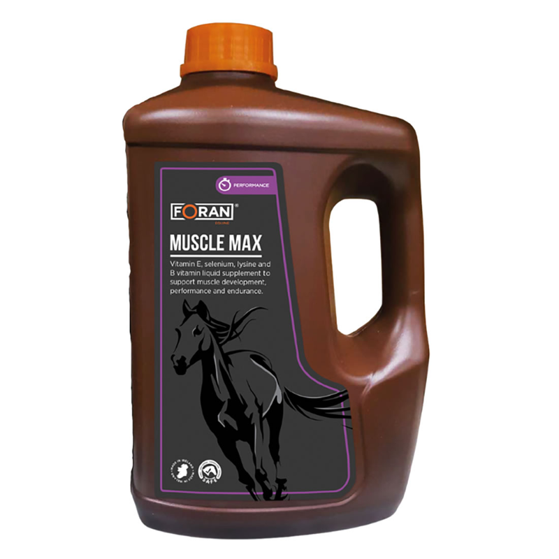 Foran Equine Muscle Max-2