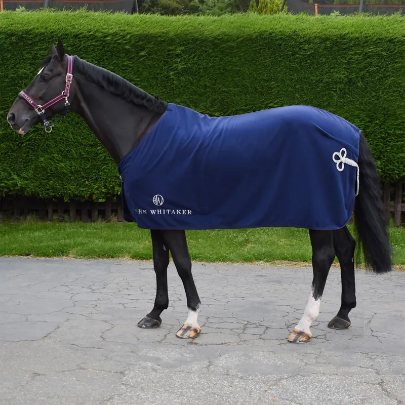 John Whitaker Helsinki Show Rug - Navy
