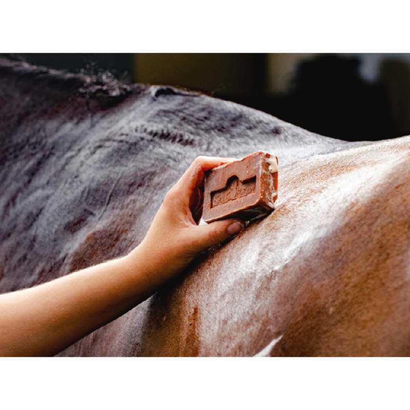 Kevin Bacon's Active Soap-2