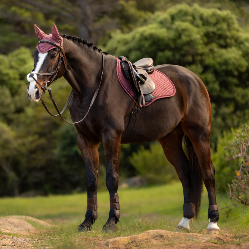 LeMieux Suede Close Contact Square - Orchid-1