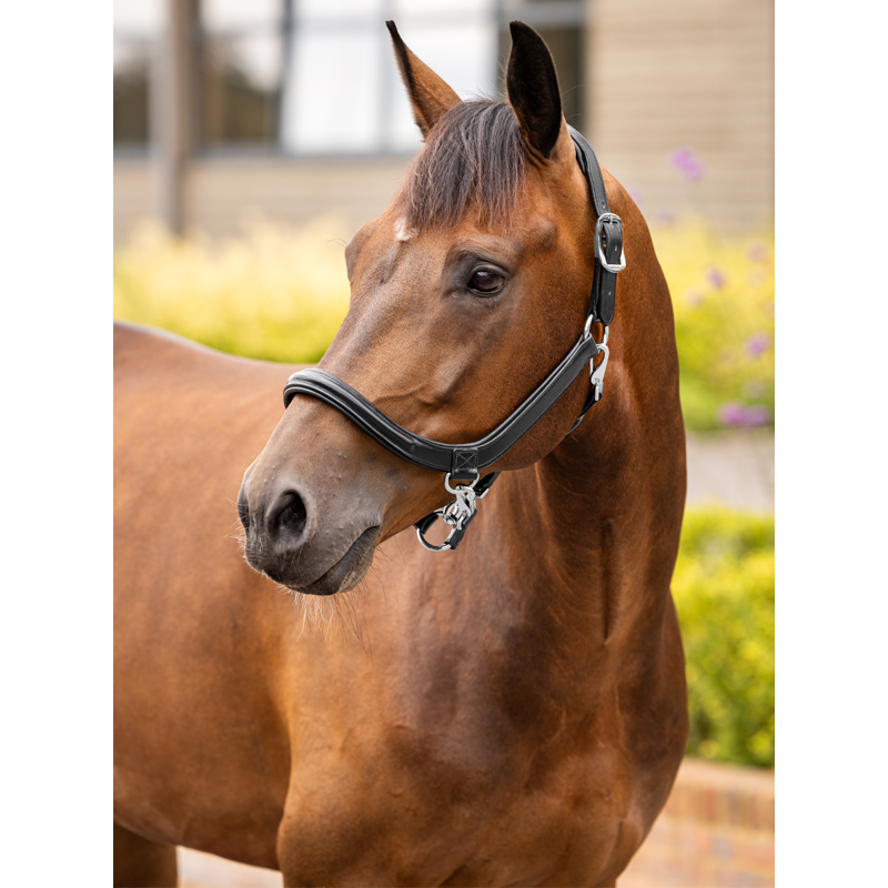 LeMieux Leather Grooming Headcollar - Black-2