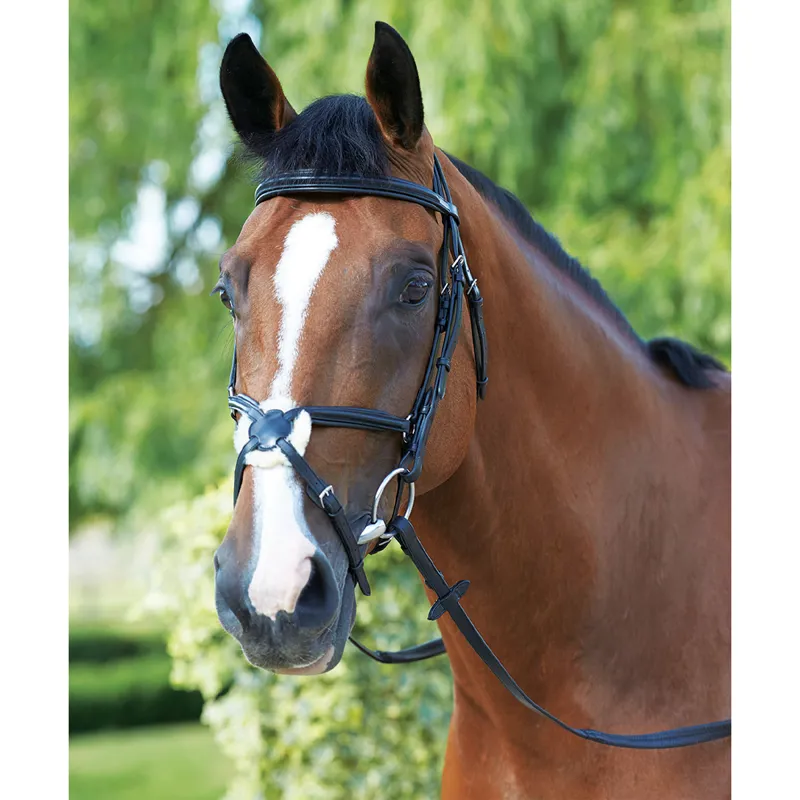 Mark Todd Padded Grackle Bridle - Black