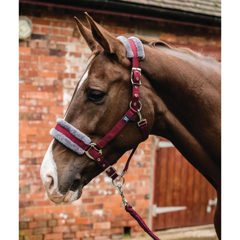 Mark Todd Fleece Lined Headcollar and Leadrope - Burgundy/Grey