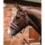 Mark Todd Fleece Lined Headcollar and Leadrope - Burgundy/Grey