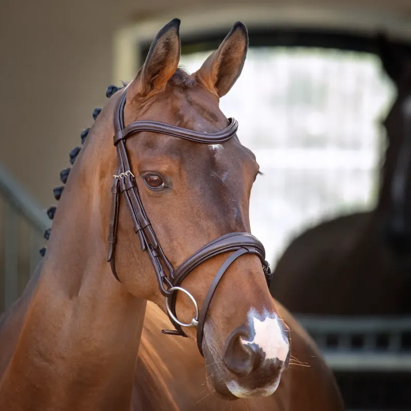 Shires Velociti Lusso Padded Raised Flash Bridle - Havana