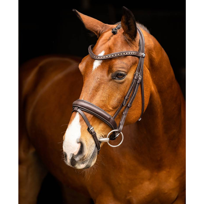 LeMieux Arika Dressage Bridle - Brown/Silver-1