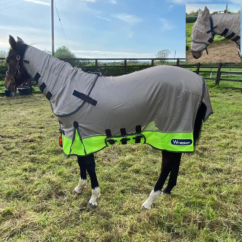 John Whitaker Airton Fly Rug - Lime