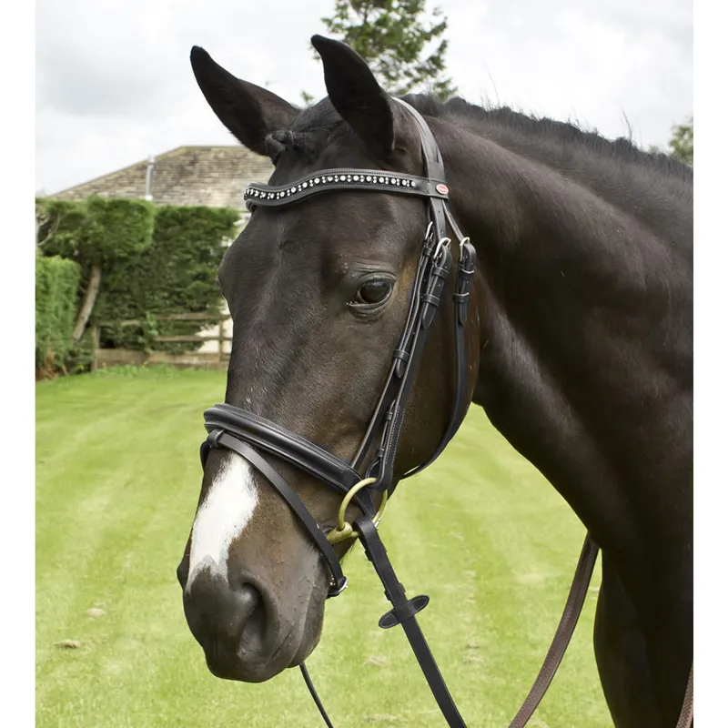 John Whitaker Lynton Flash Bridle - Black-3