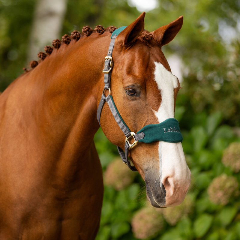 LeMieux Vogue Headcollar - Spruce-1