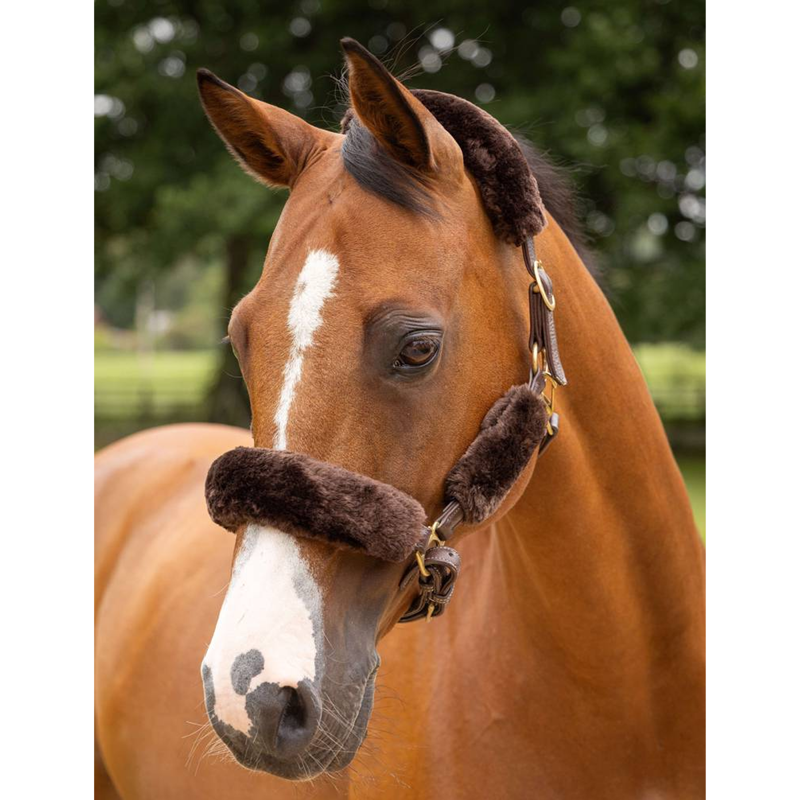 LeMieux Simuwool Headcollar Set - Brown-1