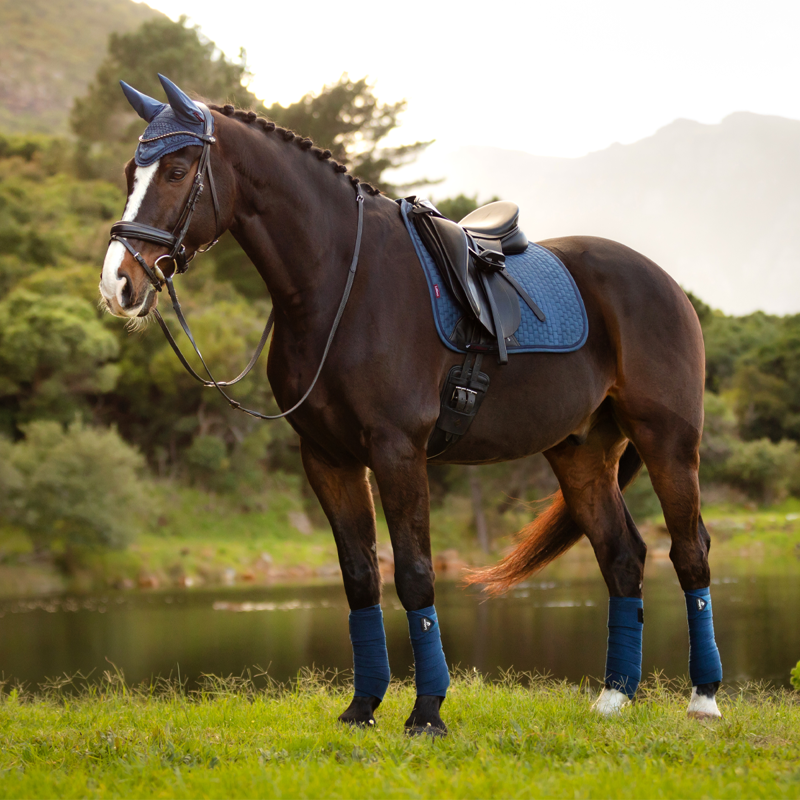 LeMieux Suede Dressage Square - Atlantic-2