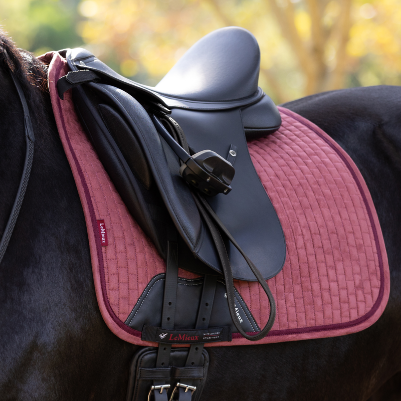 LeMieux Suede Dressage Square - Orchid-1
