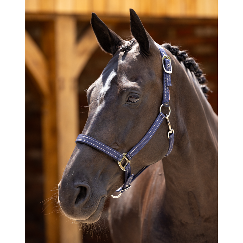 LeMieux Neoprene Yard Headcollar - Navy-1