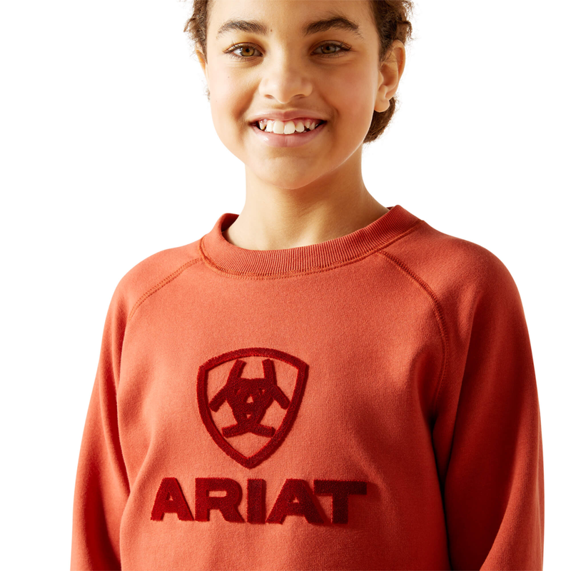 Ariat Youth Benicia Sweatshirt - Burnt Brick-3