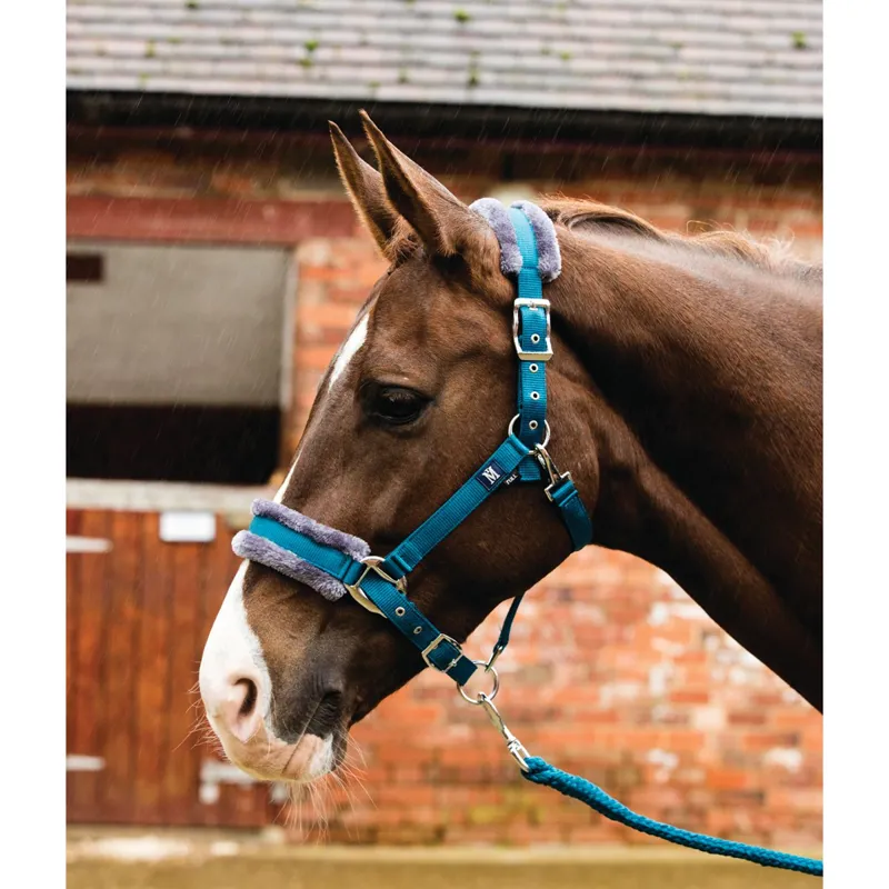 Mark Todd Fleece Lined Headcollar and Leadrope - Petrol/Grey