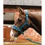 Mark Todd Fleece Lined Headcollar and Leadrope - Petrol/Grey