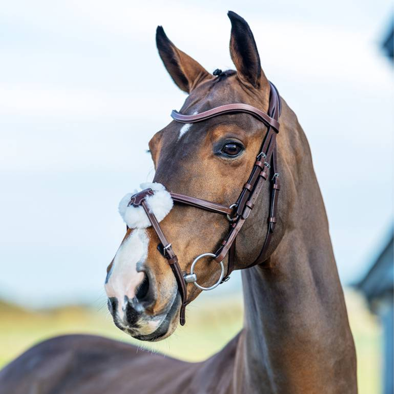 LeMieux Arika Grackle Bridle - Havana/Silver-1