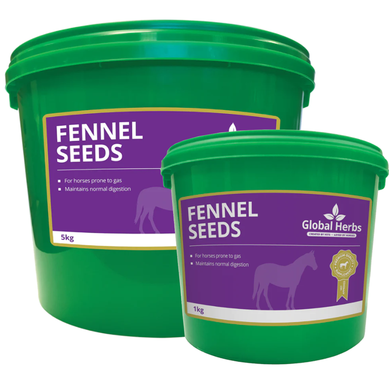 Global Herbs Fennel Seeds