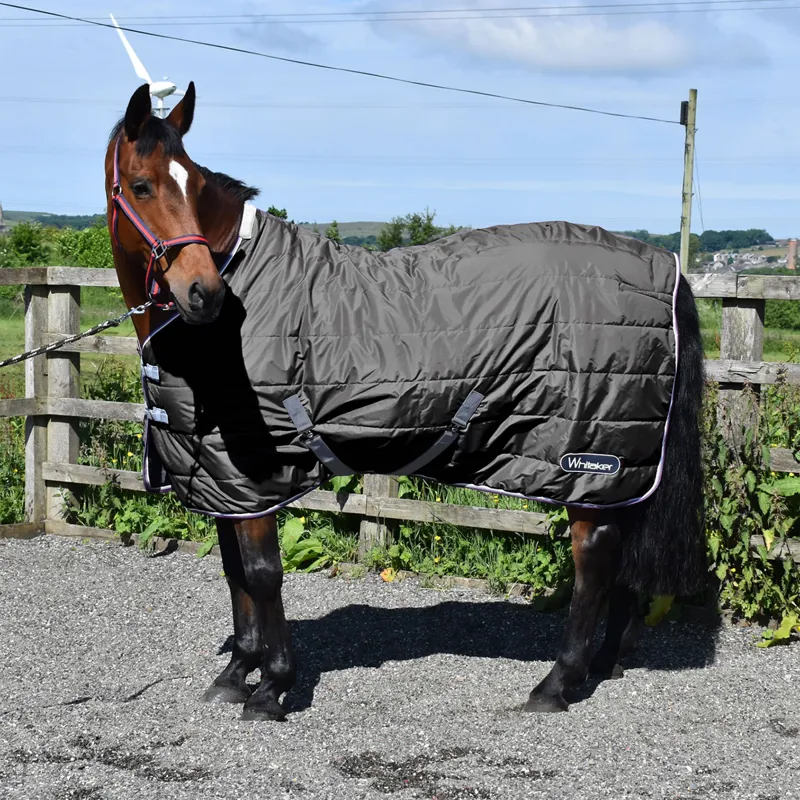 John Whitaker Crompton 100g Stable Rug - Grey
