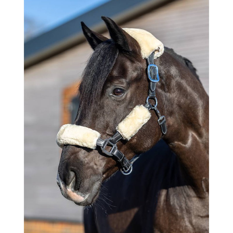 LeMieux Simuwool Headcollar Set - Natural-1