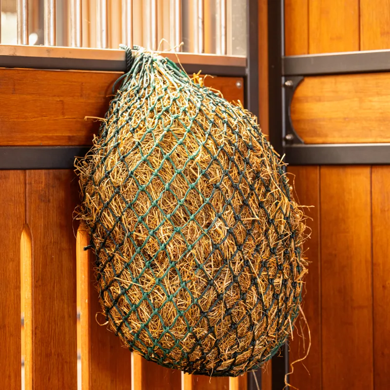 LeMieux Hippo Haynet - Spruce-1