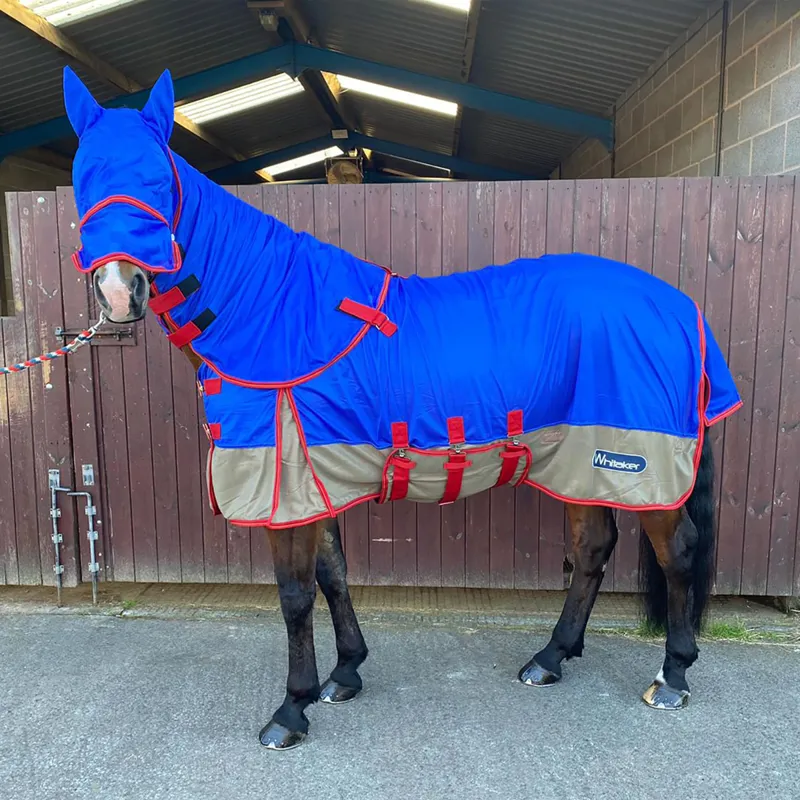 John Whitaker Airton Fly Rug - Blue/Beige