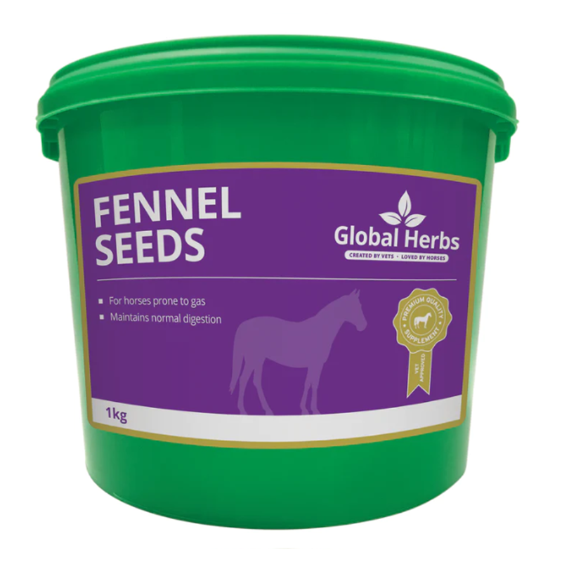 Global Herbs Fennel Seeds-1
