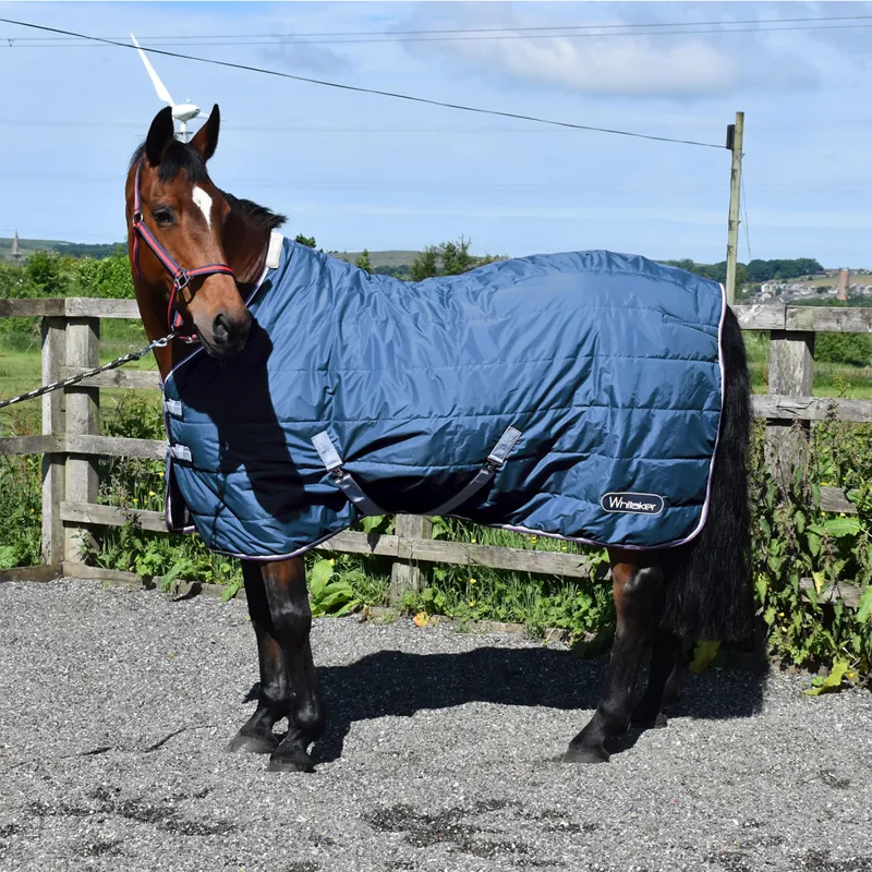 John Whitaker Crompton 100g Stable Rug - Petrol