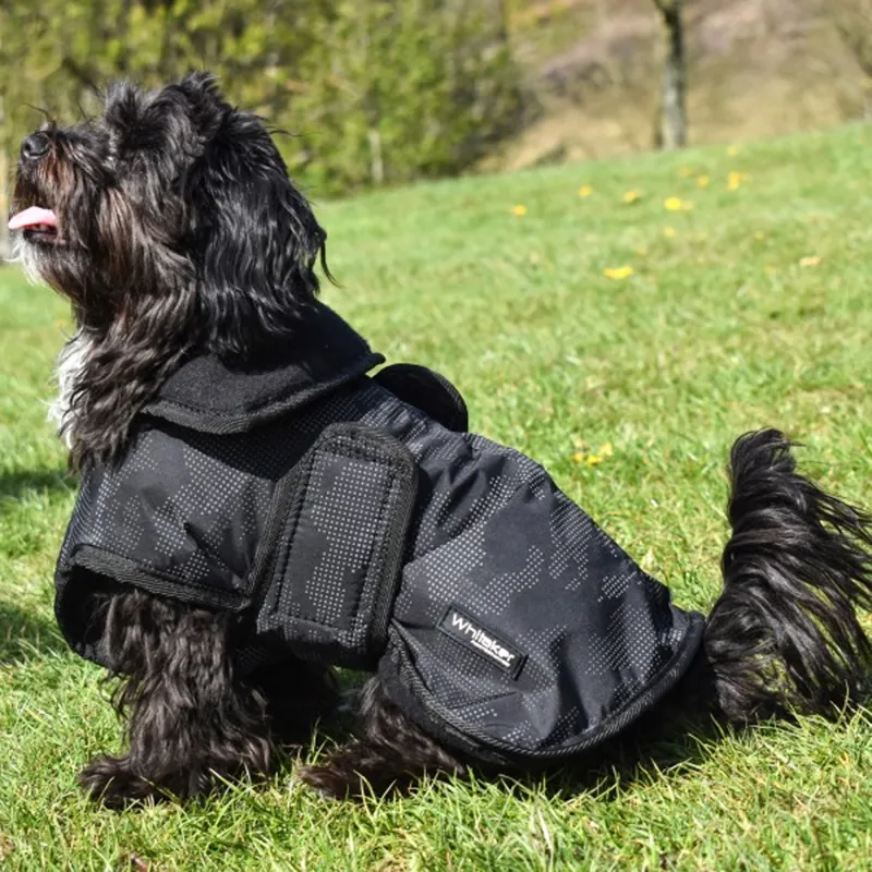 John Whitaker Sydney Dog Coat - Black Camo