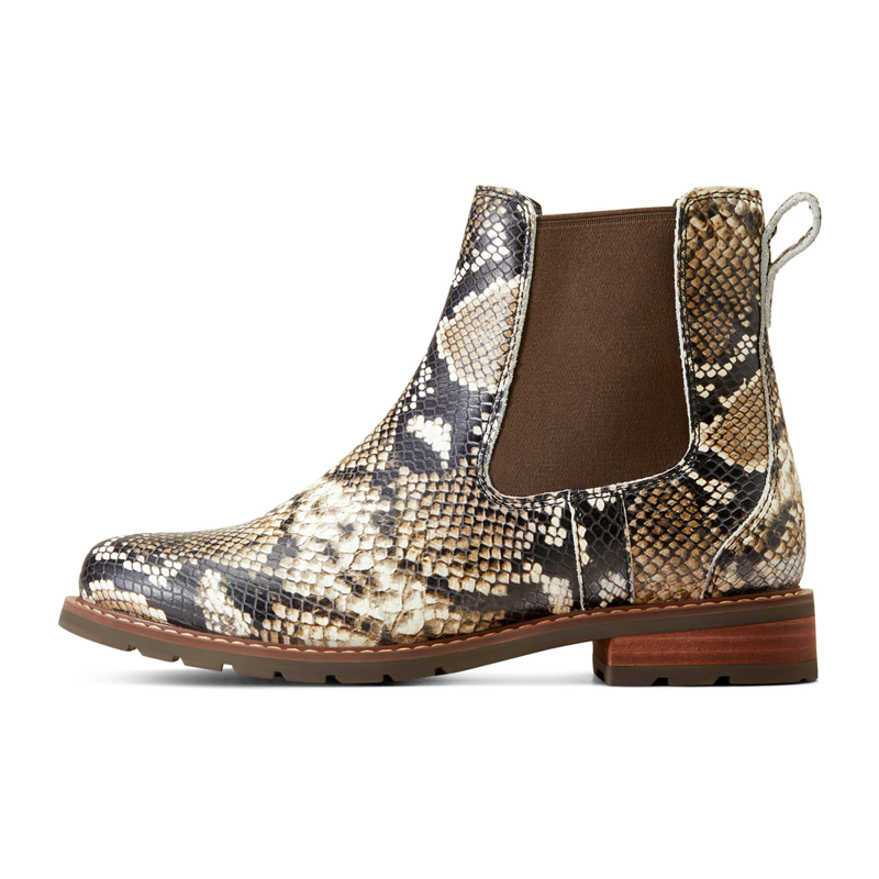 Ariat Women's Wexford Chelsea Boot - Snake Print-1
