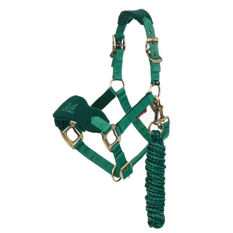 LeMieux Mini Vogue Headcollar - Evergreen